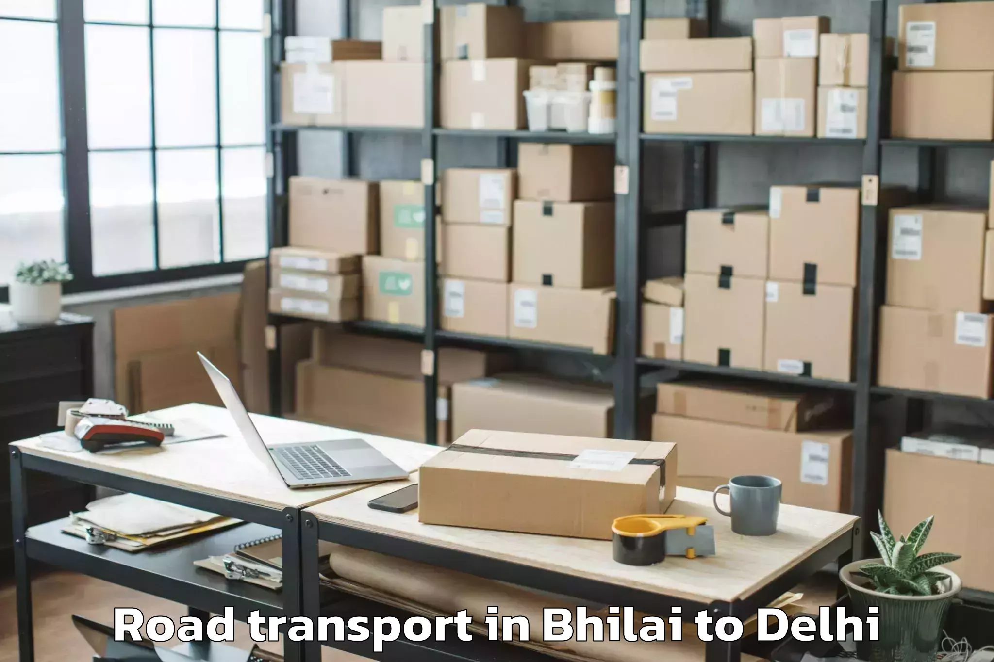 Easy Bhilai to Pitampura Road Transport Booking